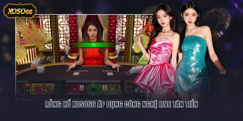 Rồng Hổ XOSO66 áp dụng công nghệ live tân tiến